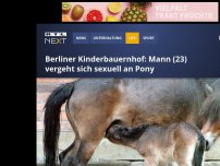 Bild zum Artikel: Berliner Kinderbauernhof: Mann (23) vergeht sich sexuell an Pony