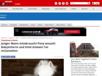 Bild zum Artikel: Tierquälerei in Berlin - Junger Mann missbraucht Pony sexuell: Babysitterin und Kind müssen alles mitansehen