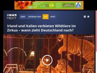 Bild zum Artikel: Irland und Italien verbieten Wildtiere im Zirkus – wann zieht Deutschland nach?