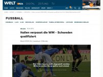 Bild zum Artikel: Italien verpasst die WM – Schweden qualifiziert