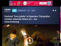 Bild zum Artikel: Festival 'Toro Jubilo' in Spanien: Tierquäler zünden lebende Stiere an – zur Unterhaltung