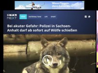 Bild zum Artikel: Bei akuter Gefahr: Polizei in Sachsen-Anhalt darf ab sofort auf Wölfe schießen