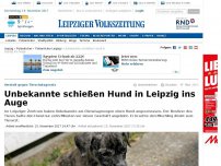 Bild zum Artikel: Unbekannte schießen Hund in Leipzig ins Auge