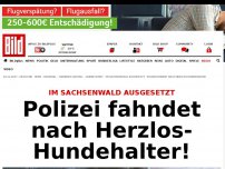 Bild zum Artikel: Im Sachsenwald ausgesetzt - Polizei sucht Herzlos-Herrchen!