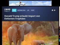 Bild zum Artikel: Donald Trump erlaubt Import von Elefanten-Trophäen
