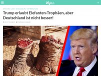 Bild zum Artikel: Trump erlaubt Elefanten-Trophäen, aber Deutschland ist nicht besser!