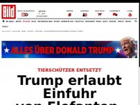 Bild zum Artikel: Tierschützer entsetzt - Trump erlaubt Einfuhr von Elefanten-Trophäen