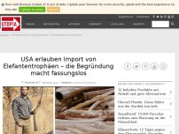 Bild zum Artikel: USA erlauben Import von Elefantentrophäen – die Begründung macht fassungslos