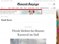 Bild zum Artikel: Rosenmontagszug : Pferde bleiben bei Bonner Karneval im Stall