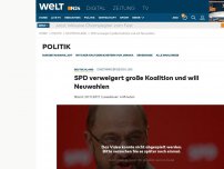 Bild zum Artikel: SPD will Neuwahlen und keine große Koalition