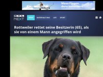 Bild zum Artikel: Rottweiler rettet seine Besitzerin (65), als sie von einem Mann angegriffen wird