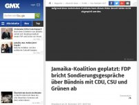 Bild zum Artikel: Jamaika-Koalition geplatzt: FDP bricht Sondierungsgespräche über Bündnis mit CDU, CSU und Grünen ab