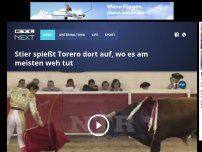 Bild zum Artikel: Stier spießt Torero dort auf, wo es am meisten weh tut