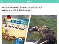 Bild zum Artikel: +++ Sterbende Kühe und totes Kalb auf Wiese von MILRAM-Landwirt