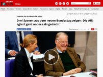 Bild zum Artikel: Problem für etablierte Parteien - Drei Szenen aus dem neuen Bundestag zeigen: Die AfD agiert ganz anders als gedacht