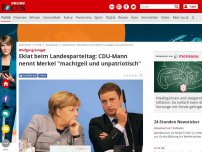 Bild zum Artikel: Wolfgang Grieger - Eklat beim Landesparteitag: CDU-Mann nennt Merkel 'machtgeil und unpatriotisch'