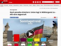 Bild zum Artikel: Sonntagstrend - Nach Jamaika-Scheitern: Union legt in Wählergunst zu – AfD wird abgestraft