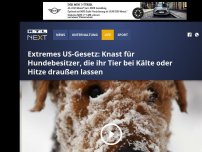 Bild zum Artikel: Extremes US-Gesetz: Knast für Hundebesitzer, die ihr Tier bei Kälte oder Hitze draußen lassen