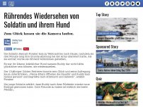 Bild zum Artikel: Rührendes Wiedersehen von Soldatin und ihrem Hund