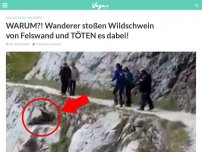 Bild zum Artikel: WARUM?! Wanderer stoßen Wildschwein von Felswand und TÖTEN es dabei!