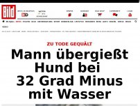 Bild zum Artikel: Zu Tode gequält - Mann übergießt Hund bei minus 32 Grad mit Wasser