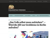 Bild zum Artikel: „Das Volk selbst muss aufstehen“ – Wird die AfD zur Großdemo in Berlin aufrufen?
