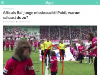Bild zum Artikel: Affe als Balljunge missbraucht! Poldi, warum schaust du zu?
