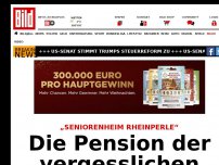 Bild zum Artikel: „Seniorenheim Rheinperle“ - Die Pension der vergesslichen Hunde