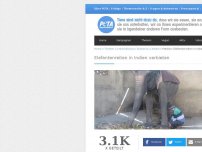 Bild zum Artikel: Petition: Elefantenreiten in Indien verbieten