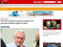 Bild zum Artikel: Erneute Wende  - FDP-Vize Kubicki bringt Comeback von Jamaika-Sondierungen ins Spiel