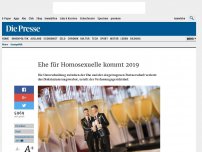 Bild zum Artikel: Ehe für Homosexuelle kommt 2019