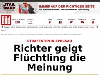 Bild zum Artikel: Straftaten in Zwickau - Richter geigt Flüchtling die Meinung