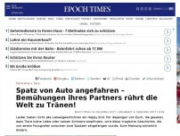 Bild zum Artikel: Spatz von Auto angefahren – Bemühungen ihres Partners rührt die Welt zu Tränen!