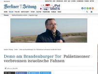 Bild zum Artikel: Demo am Brandenburger Tor: Palästinenser verbrennen israelische Fahnen