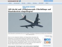 Bild zum Artikel: AfD deckt auf: Zehntausende Flüchtlinge auf Staatskosten eingeflogen!