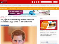 Bild zum Artikel: Prinz Harry - Bei Jagd in Brandenburg: Briten-Prinz und deutsche Adlige töten 15 Wildschweine