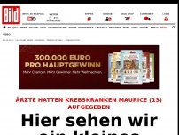 Bild zum Artikel: Neue Hoffnung für Maurice - Hier sehen wir ein kleines Wunder