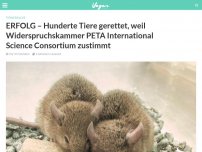 Bild zum Artikel: ERFOLG – Hunderte Tiere gerettet, weil Widerspruchskammer PETA International Science Consortium zustimmt