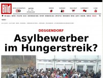Bild zum Artikel: DEGGENDORF - Asylbewerber im Hungerstreik?