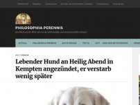 Bild zum Artikel: Lebender Hund an Heilig Abend in Kempten angezündet, er verstarb wenig später