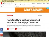 Bild zum Artikel: Unbekannter zündet Hund bei lebendigem Leib an