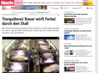 Bild zum Artikel: Grausamkeit aufgedeckt: Tierquälerei: Bauer wirft Ferkel durch den Stall