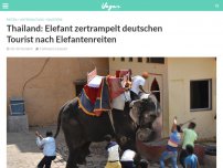 Bild zum Artikel: Thailand: Elefant zertrampelt deutschen Tourist nach Elefantenreiten