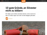 Bild zum Artikel: 10 gute Gründe, an Silvester nicht zu böllern