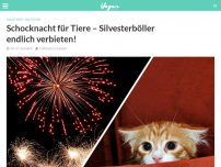 Bild zum Artikel: Schocknacht für Tiere – Silvesterböller endlich verbieten!
