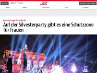 Bild zum Artikel: An Silvester: Sicherheitszone für sexuell belästigte Frauen eingerichtet