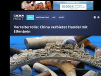 Bild zum Artikel: Vorreiterrolle: China verbietet Handel mit Elfenbein