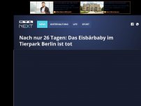 Bild zum Artikel: Nach nur 26 Tagen: Das Eisbärbaby im Tierpark Berlin ist tot