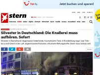Bild zum Artikel: Vorfälle in Berlin und Co.: Silvester in Deutschland: Die Knallerei muss aufhören. Sofort