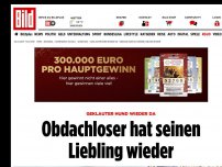 Bild zum Artikel: Geklauter Hund wieder da - Obdachloser hat seinen Liebling wieder